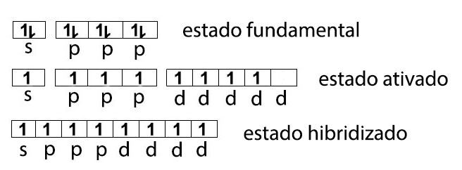 dis..jpg