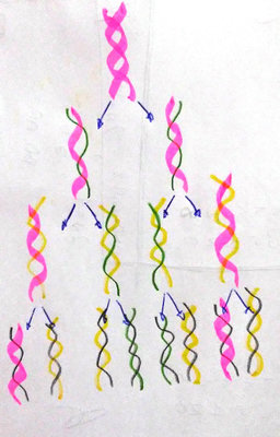 Um pequeno desenho pra compreender.