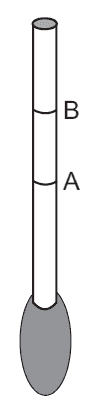 pn.png