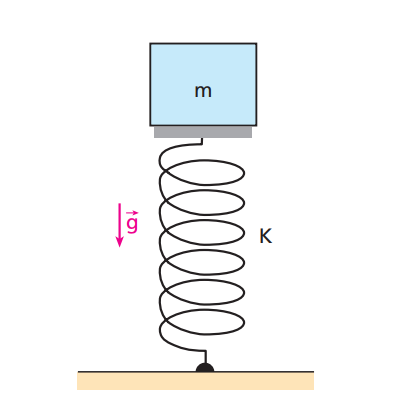 Captura de Tela (100).png
