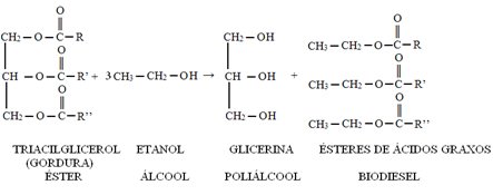 obtencao-do-biodiesel.jpg