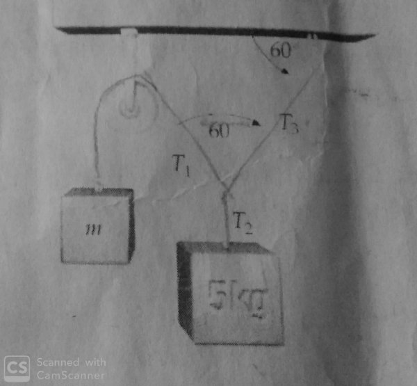 Novo Documento 2020-03-15 12.23.24.jpg