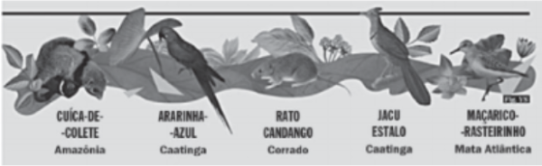 (Cesva) Fisiologia Animal.png