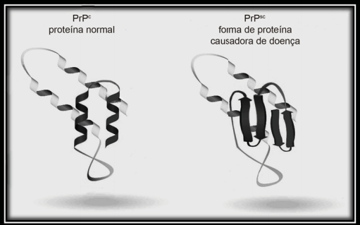 Captura de Tela 2020-07-25 às 21.53.58.png
