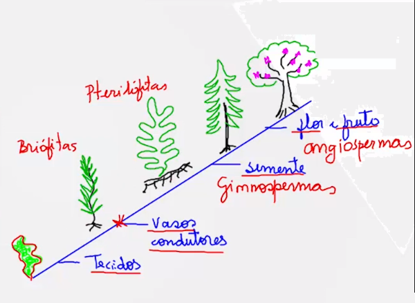 Para ilustrar a situação.