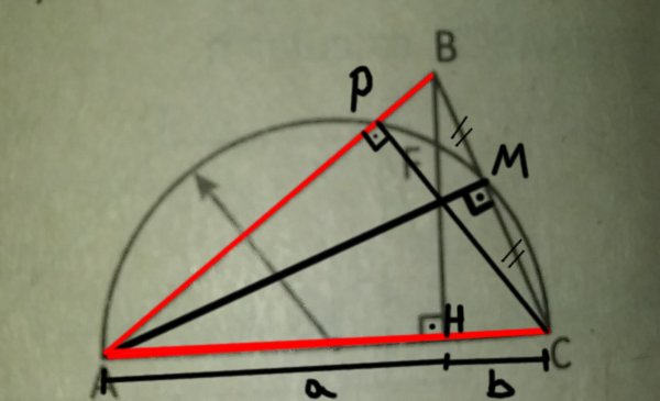 20210321_064419-1 (1).jpg