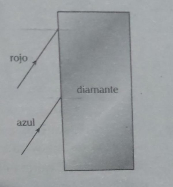 WhatsApp Image 2021-05-20 at 18.06.33.jpeg