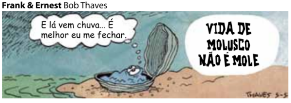 Sem título.png
