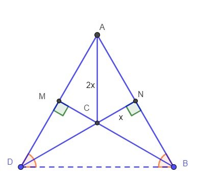 fig1.jpg