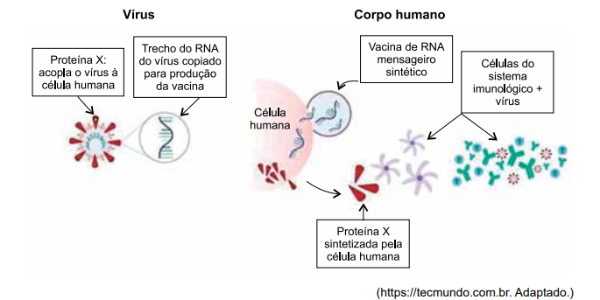 MjQxNzIxOQ== e mais 6 páginas - Ni — Microsoft​ Edge 17_11_2021 07_27_15.png