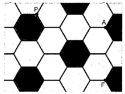 HEXA HEXA.jpg