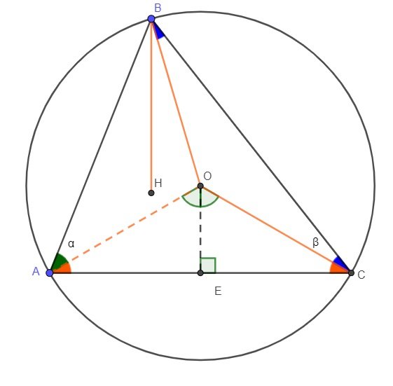 fig1.jpg