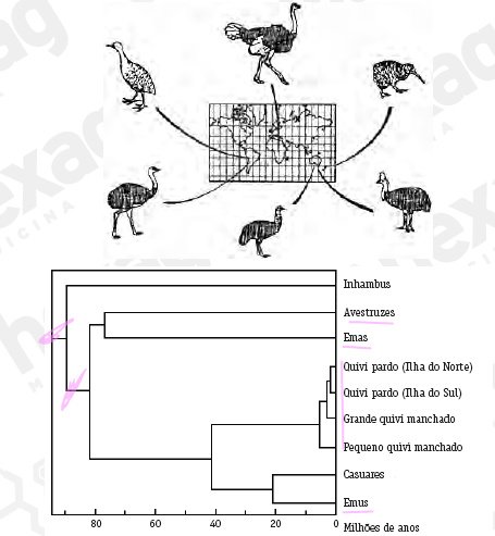 Captura de tela inteira 04022024 141442.bmp.jpg