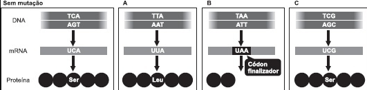 Captura de Tela (33).png