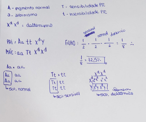 WhatsApp Image 2024-06-14 at 17.35.44.jpeg