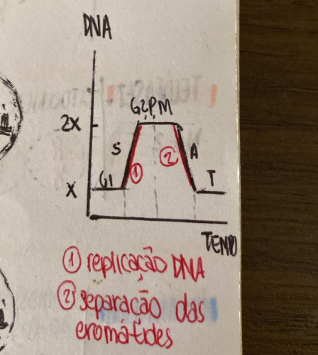 WhatsApp Image 2024-06-04 at 11.25.48.jpeg