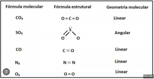 Captura de Tela 2024-10-22 às 08.41.21.png