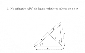 Foto da questão