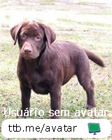 Avatar do usuário